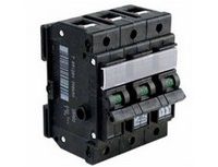 Ela Eletro Araguari DISJ.TRIPOLAR UNIC 100A >1G DISJUNTORES PIAL